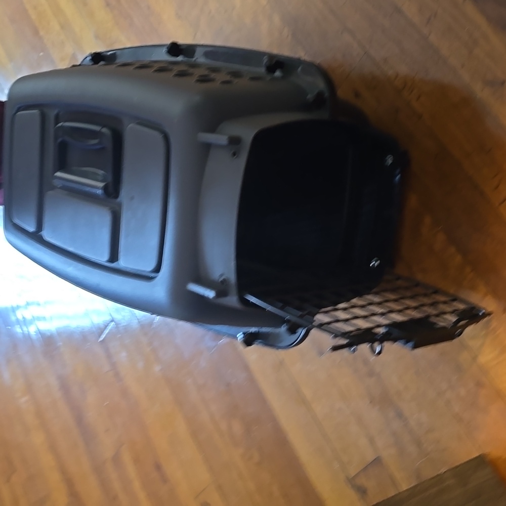 Small Carrier for Cat or Dog
